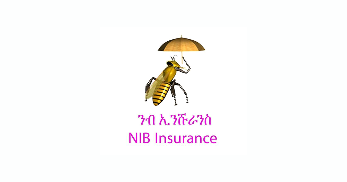 Nib Insurance Company S.C.